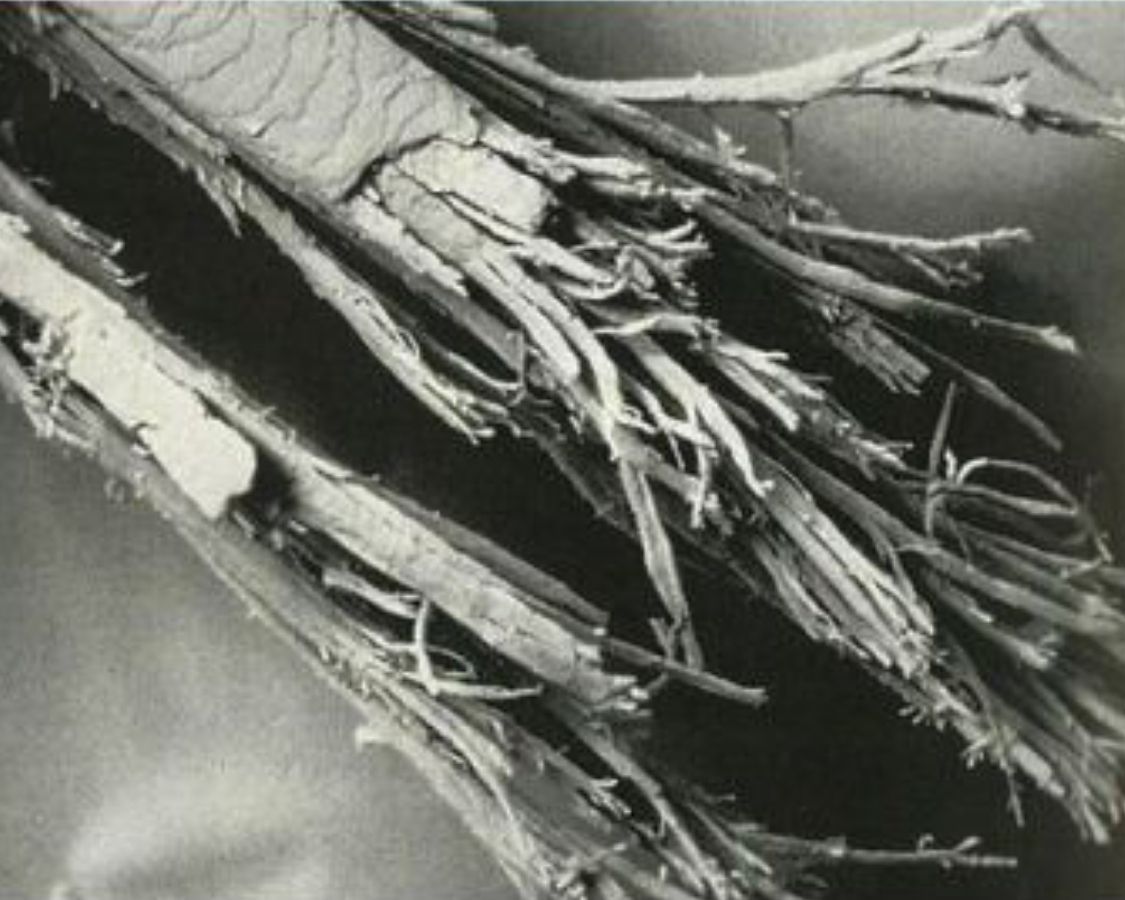 Vorher Nachher heiße Schere – weniger Spliss, ruhiger Haarfall